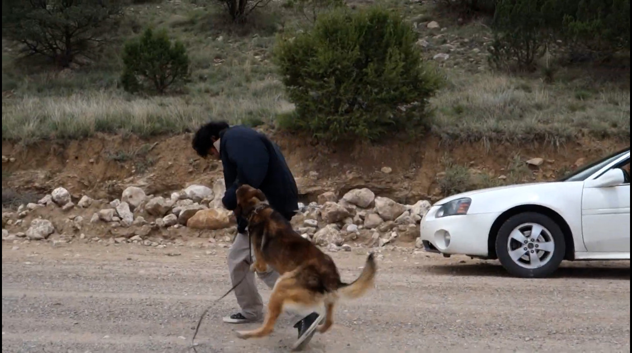 Video - Road Protection