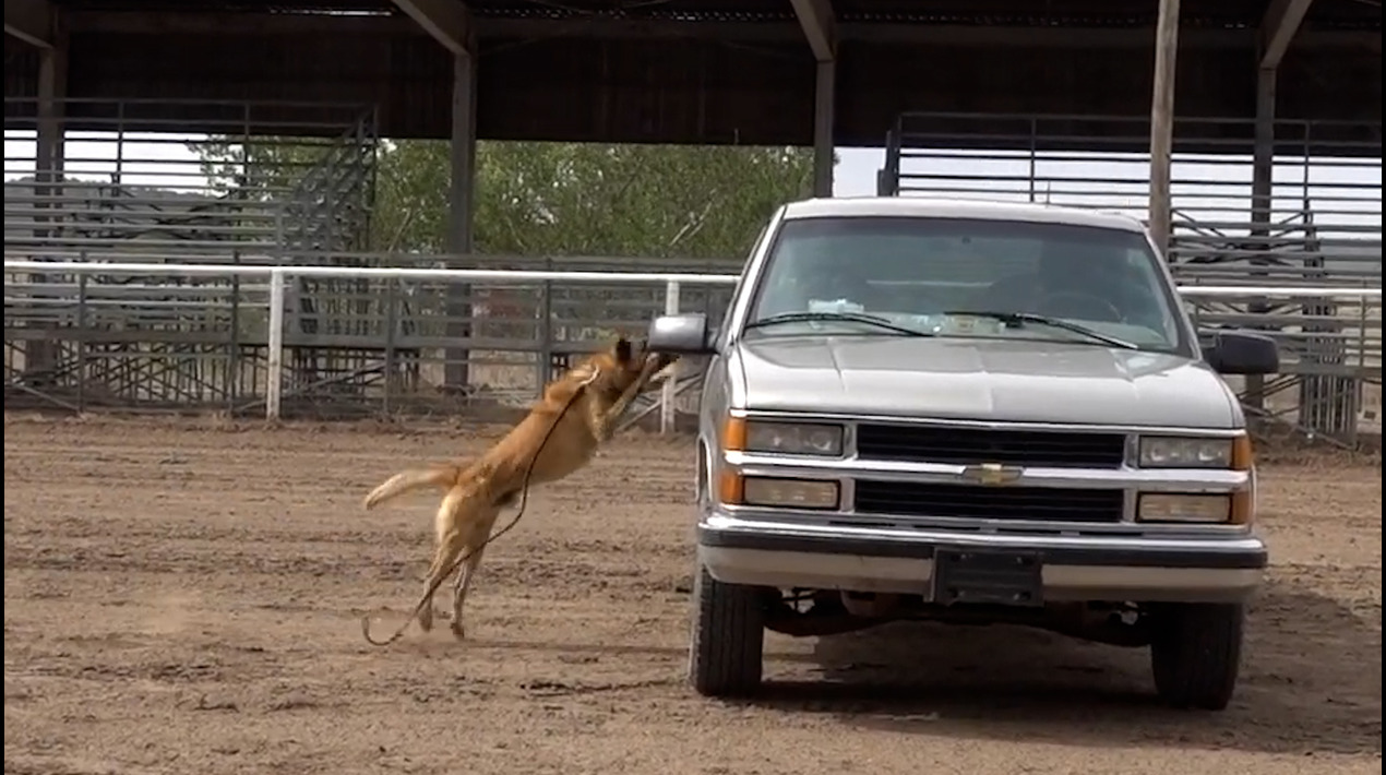 Video - Vehicle Entry Protection